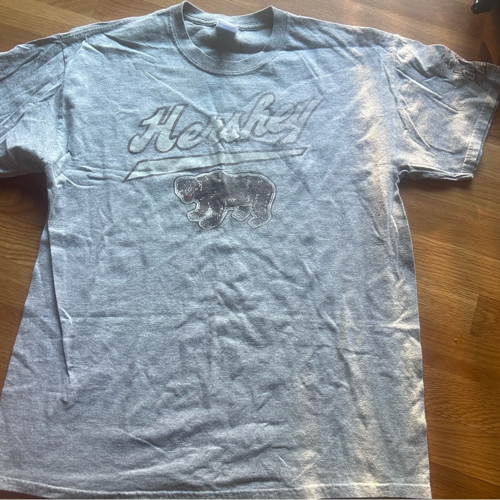 Hershey Bears y2k 2013 “Classic” graphic bear shirt size large
